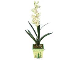 zel Yapay Orkide Beyaz   skenderun online ieki , iek siparii 