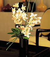 skenderun iekiler  cam yada mika vazo ierisinde dal orkide