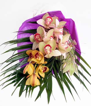  skenderun cicekciler , cicek siparisi  1 adet dal orkide buket halinde sunulmakta